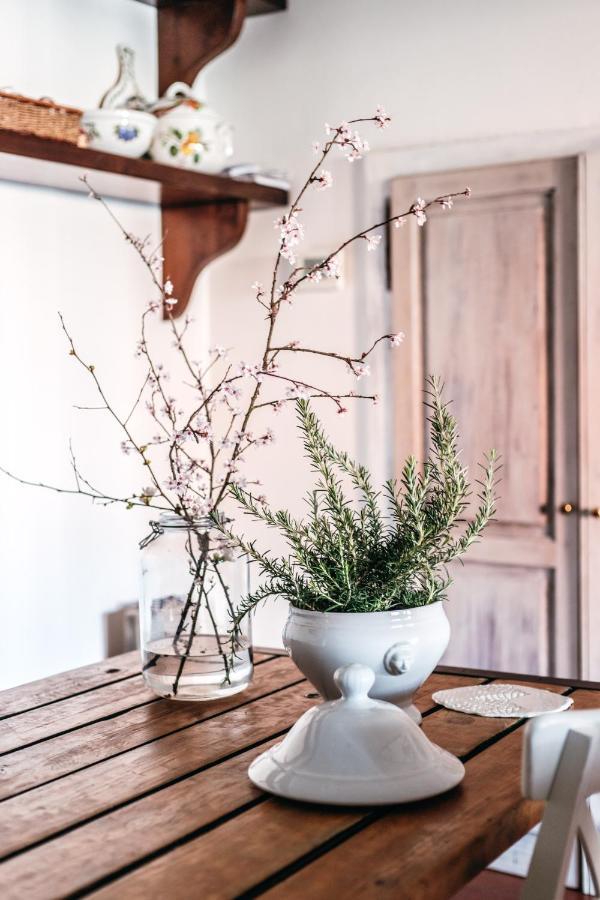 바놀로 산 비토 A Casa Mia B&B 외부 사진