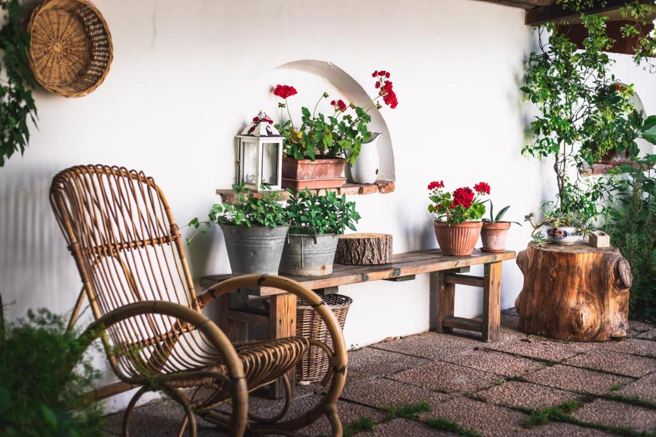 바놀로 산 비토 A Casa Mia B&B 외부 사진
